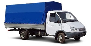 Газель добрынинская