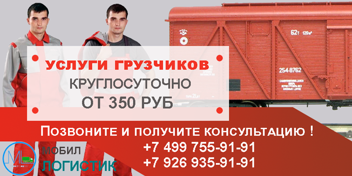 Разгрузка вагонов в Москве и области недорого с почасовой оплатой. Заказ грузчиков на склад